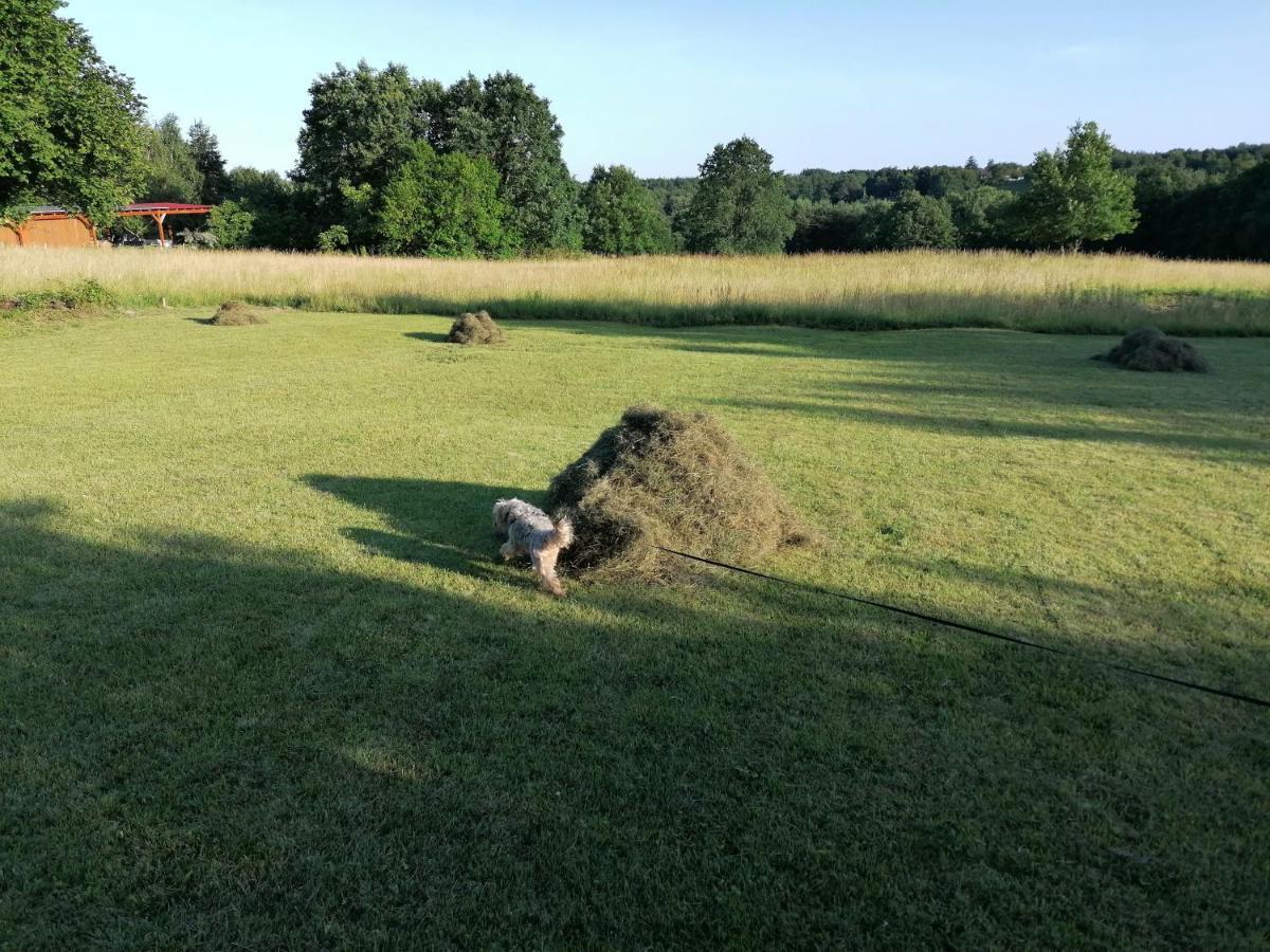 Orban Porta Hotel Szalafo Bagian luar foto